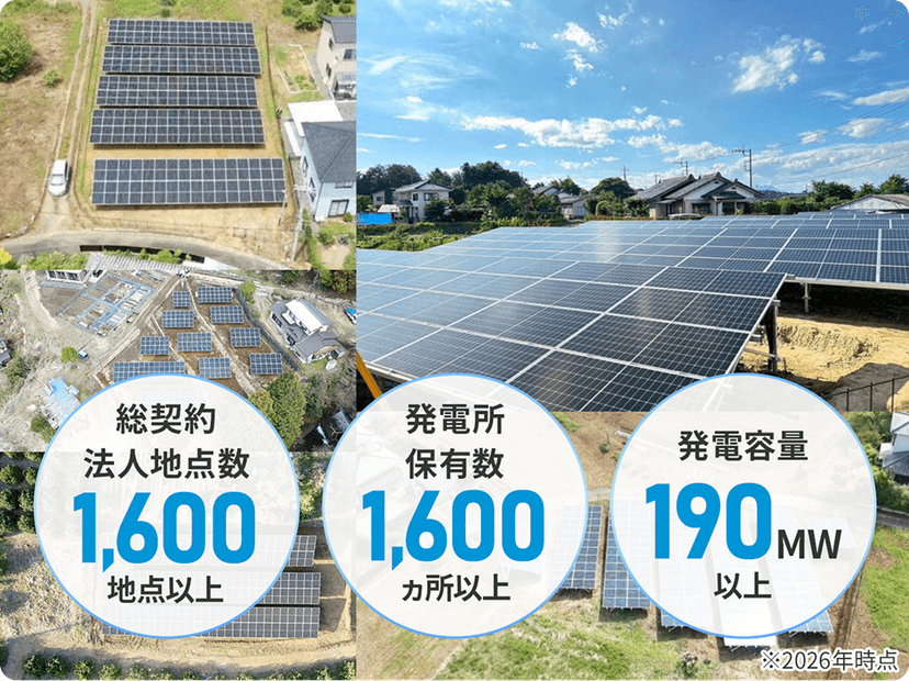キューエネスの法人電力