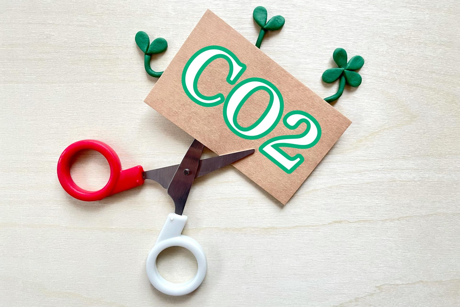 脱炭素経営とは?企業が取り組むメリットを解説!